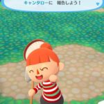 どうぶつの森ポケットキャンプアプリが重たい人向け！回線通信エラー解消法！