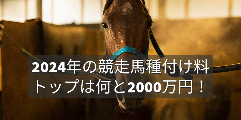 2024年の競走馬種付け料、トップは何と2000万円！