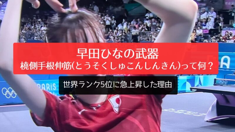 早田ひなの武器、橈側手根伸筋（とうそくしゅこんしんきん）って何？ 世界ランク5位に急上昇した理由