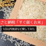 【2025年最新】ふるさと納税「すぐ届くお米」5日以内発送など探してみた