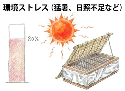 ゴーヤの葉っぱがシワシワの原因 環境ストレス(猛暑、日照不足など)