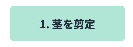 茎を剪定