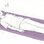 ほんまでっかTVで話題沸騰！ダイアン津田おすすめのシャクティマット