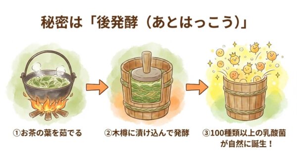 ポイントは「後発酵」