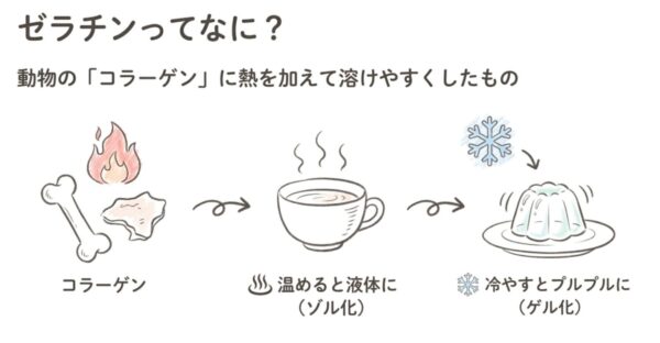 ゼラチンってなに？