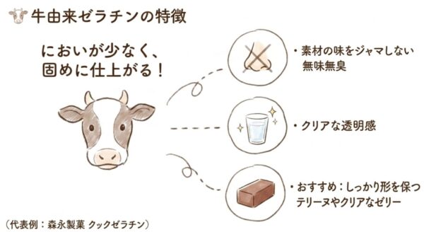 牛由来ゼラチンの特徴