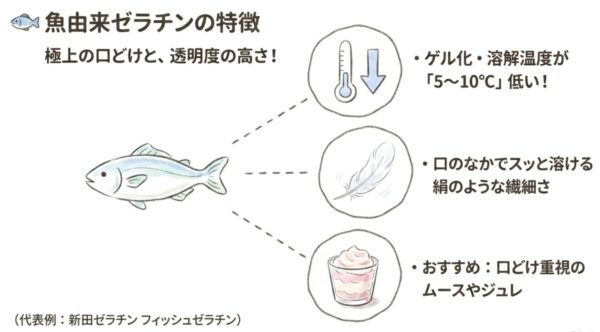 魚由来ゼラチンの特徴