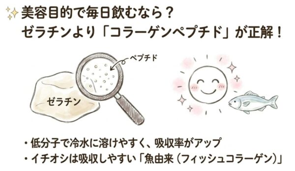 コラーゲン吸収率と美容目的での選び方