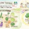 2026年4月からブロッコリーが52年ぶり指定野菜に！なぜ追加？価格安くなる？知りたいこと全部まとめてみた