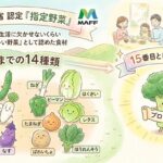 2026年4月からブロッコリーが52年ぶり指定野菜に!なぜ追加?価格安くなる?知りたいこと全部まとめてみた