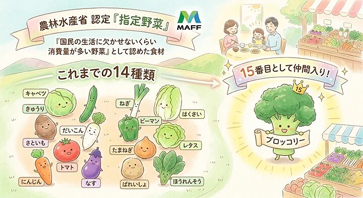 2026年4月からブロッコリーが52年ぶり指定野菜に!なぜ追加?価格安くなる?知りたいこと全部まとめてみた