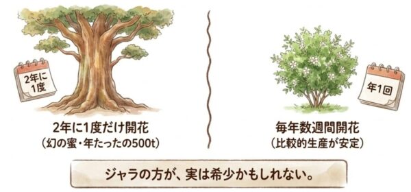 産地と採蜜頻度の差が価格を決める