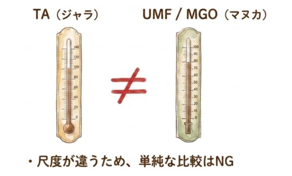 抗菌力の指標TAとUMFは何が違うのか