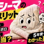 パシーマのデメリット「ボロボロ・縮む・ダニ・高い」は本当？5年使ってわかった真実