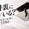 【怖い】天井裏に何かいる？夜の物音・足音の正体と今すぐできる対処法