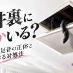 【怖い】天井裏に何かいる?夜の物音・足音の正体と今すぐできる対処法
