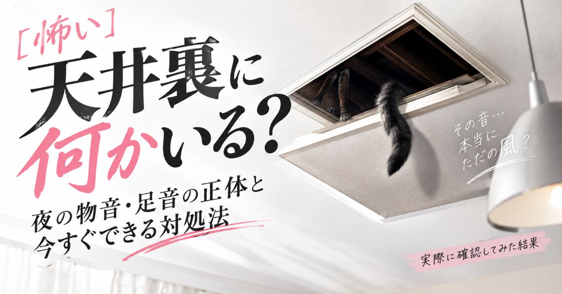 【怖い】天井裏に何かいる?夜の物音・足音の正体と今すぐできる対処法