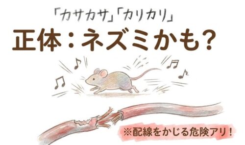 カサカサ、カリカリはネズミかも