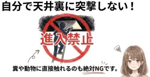 自分で天井裏に突撃しない