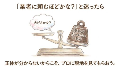 業者に頼むほどかな?と迷ったら